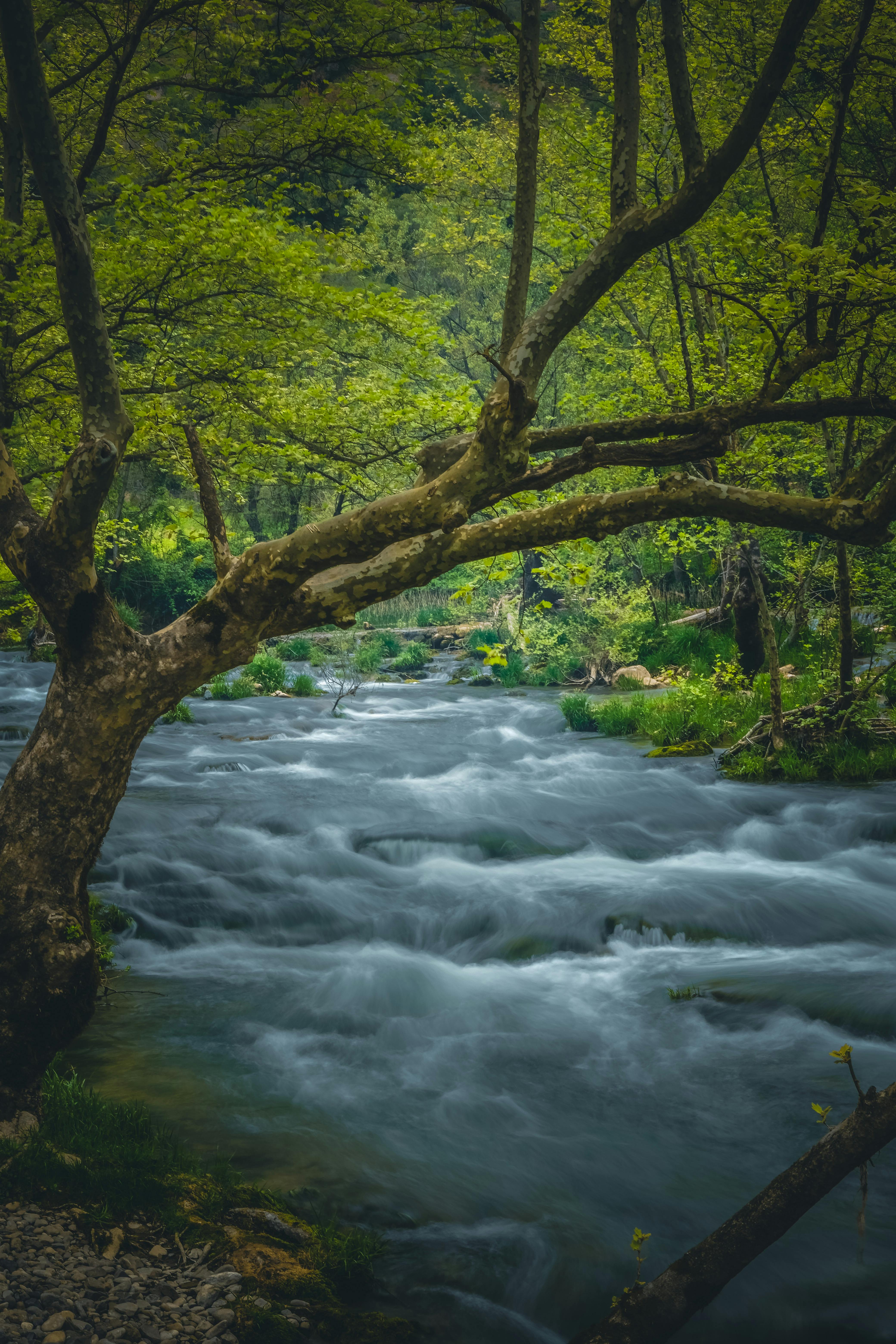 Beautiful transparent stone in a mountain stream, closeup, wallpaper,  background Stock Illustration | Adobe Stock