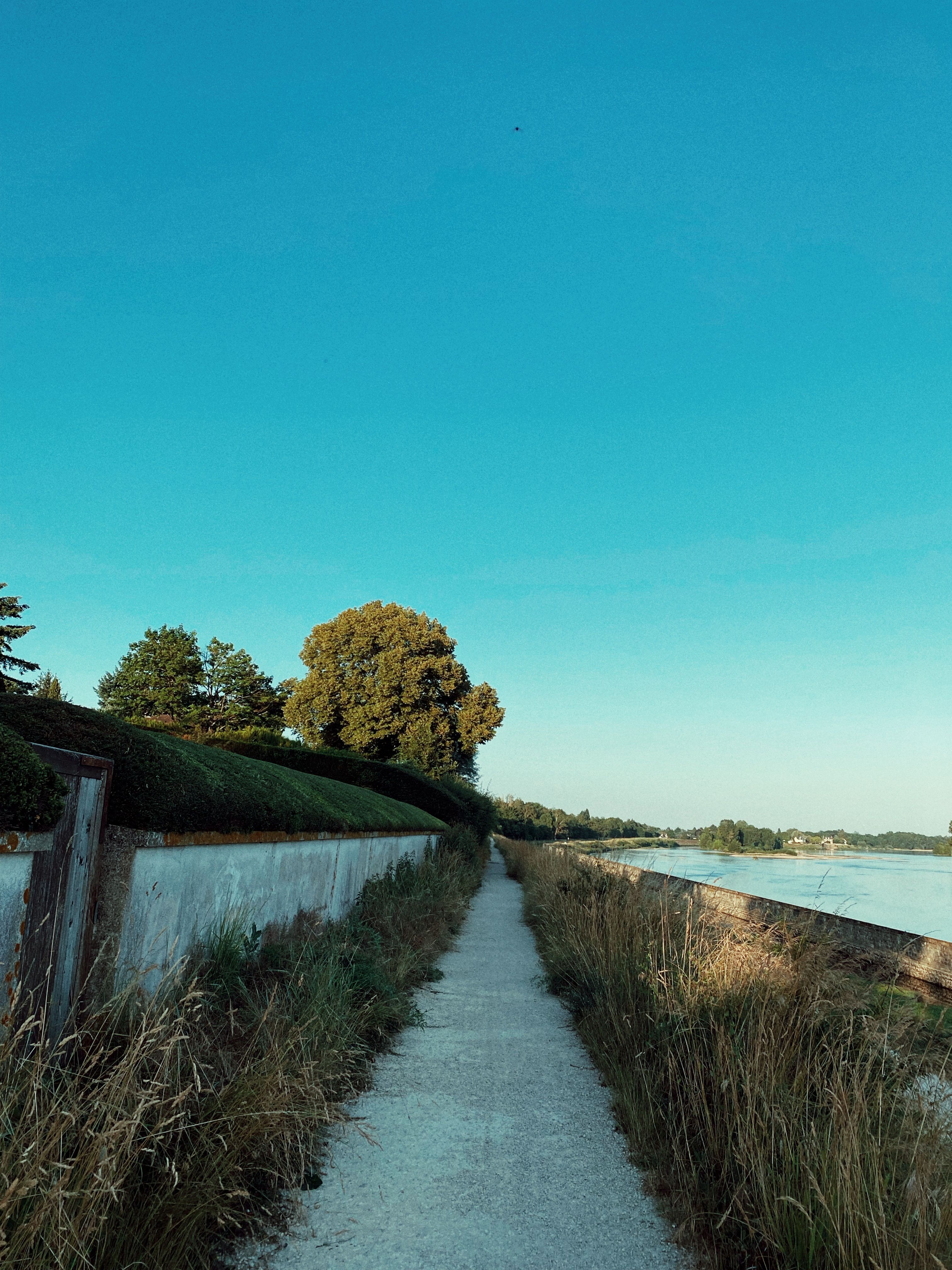 Photo of a Footpath by the Lake · Free Stock Photo