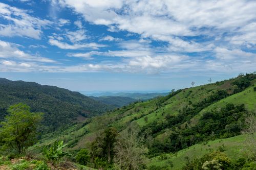 Free Scenic view of lush rolling hills and valleys under a bright blue sky with clouds. Stock Photo