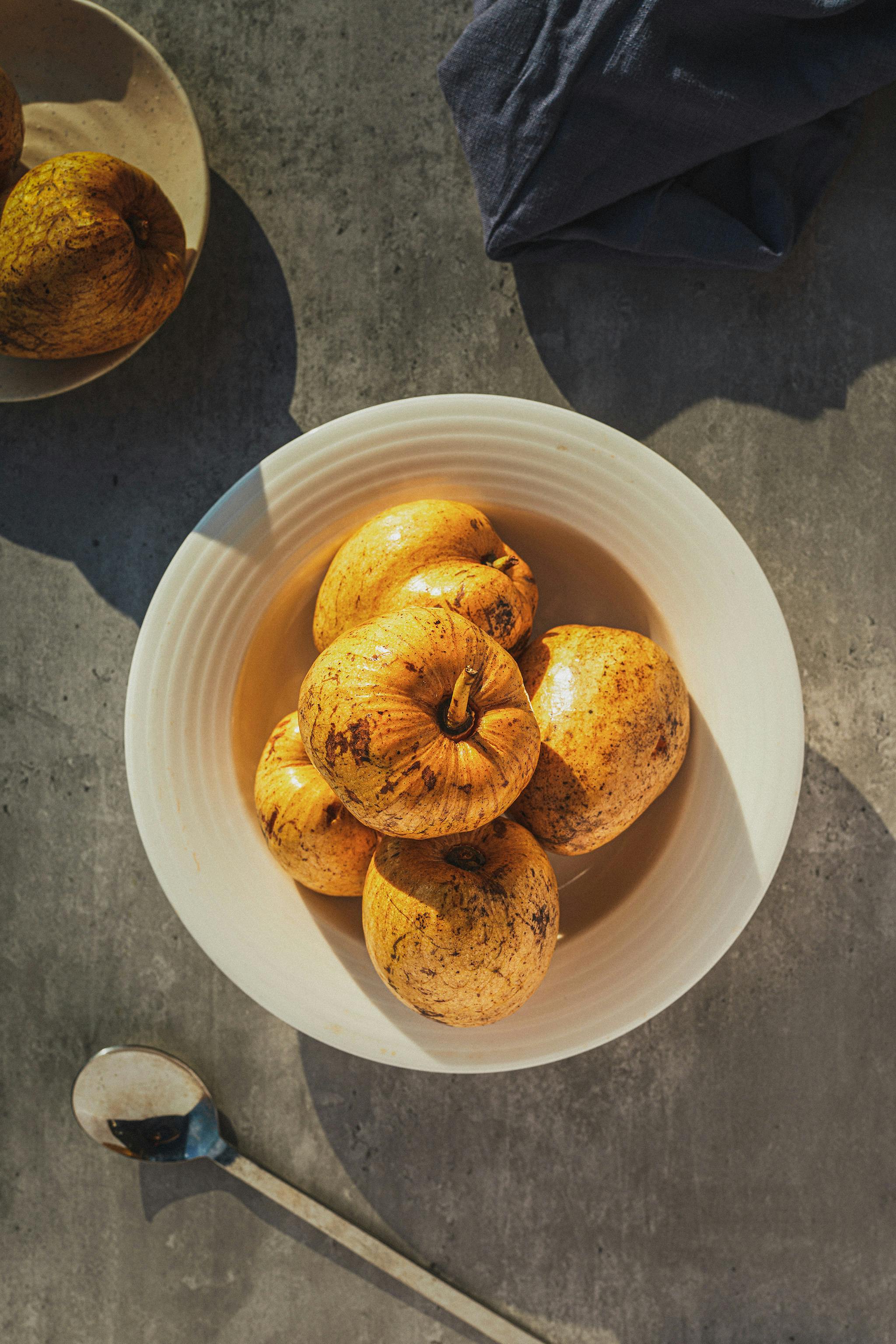 Santol Fruit - Urban Goes Green Plant Guide