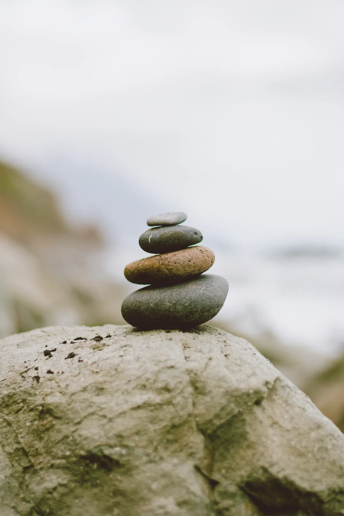 Why Quieting Overactive Nerves Is the Secret to Longevity