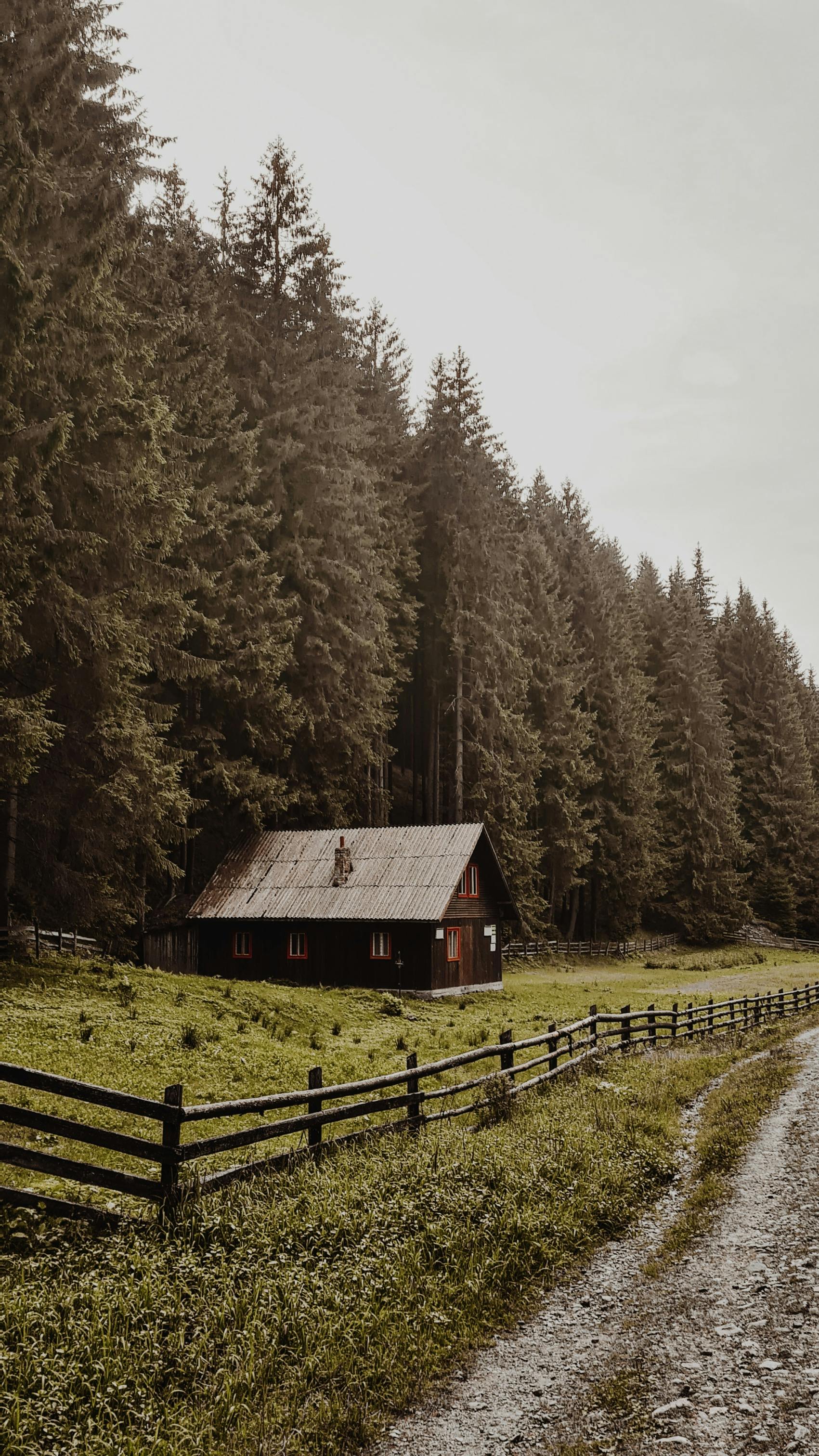 Charming wooden cabin nestled by a tranquil forest path, surrounded by towering conifers and rustic fences.