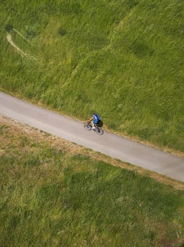 Cyclist rides alone on a serene path surrounded by lush greenery in Berlin.