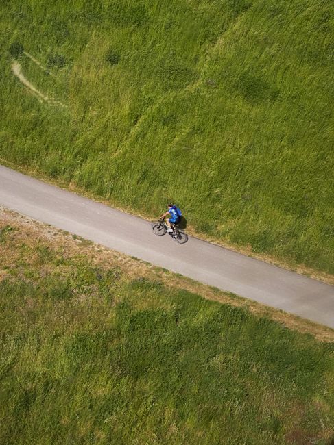 Cyclist rides alone on a serene path surrounded by lush greenery in Berlin.