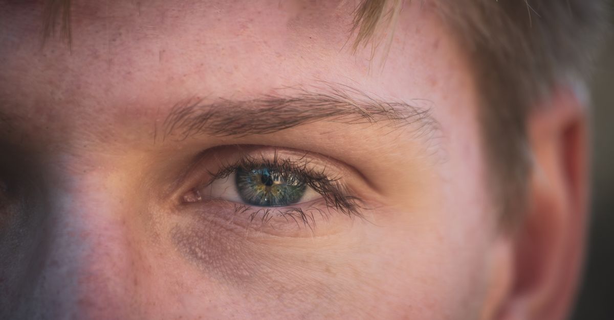 A young man's face in soft light, eyes and brows in focus