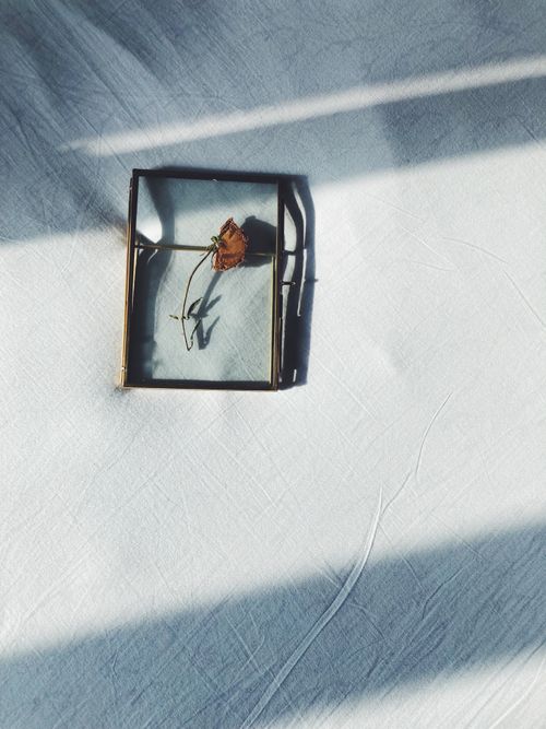 Free Elegant still life of a dried rose encapsulated in a glass frame on a textured surface. Stock Photo