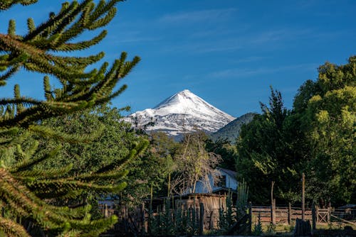 ağaçlar, arazi, dağ içeren Ücretsiz stok fotoğraf