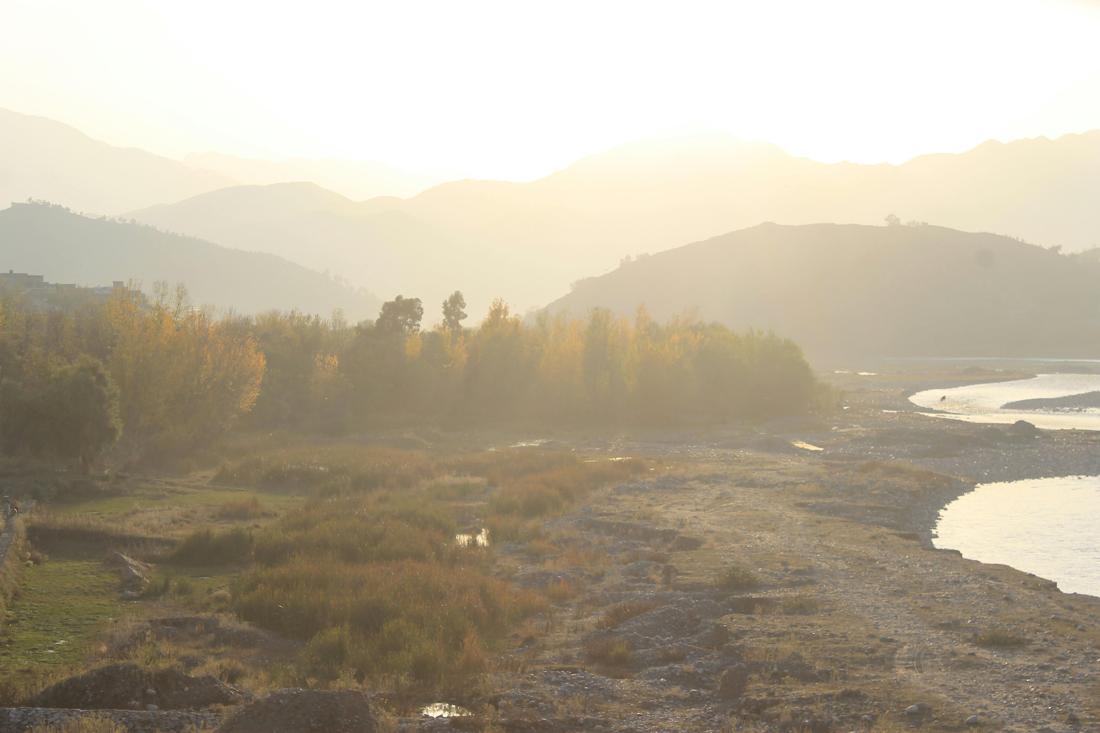リオのカーニバルでサンバを踊る人々