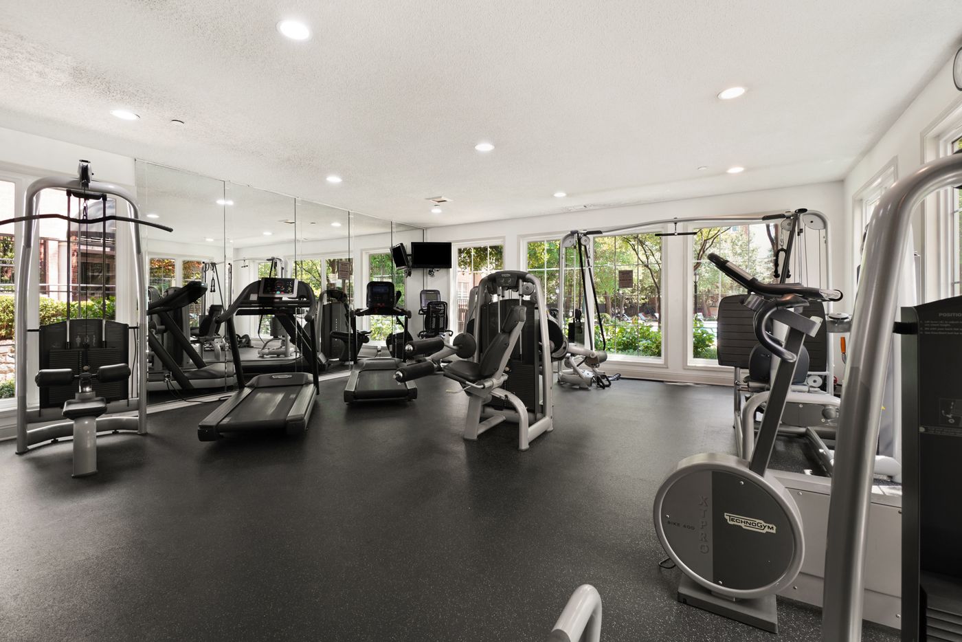 Bright modern gym interior with cardio and strength equipment