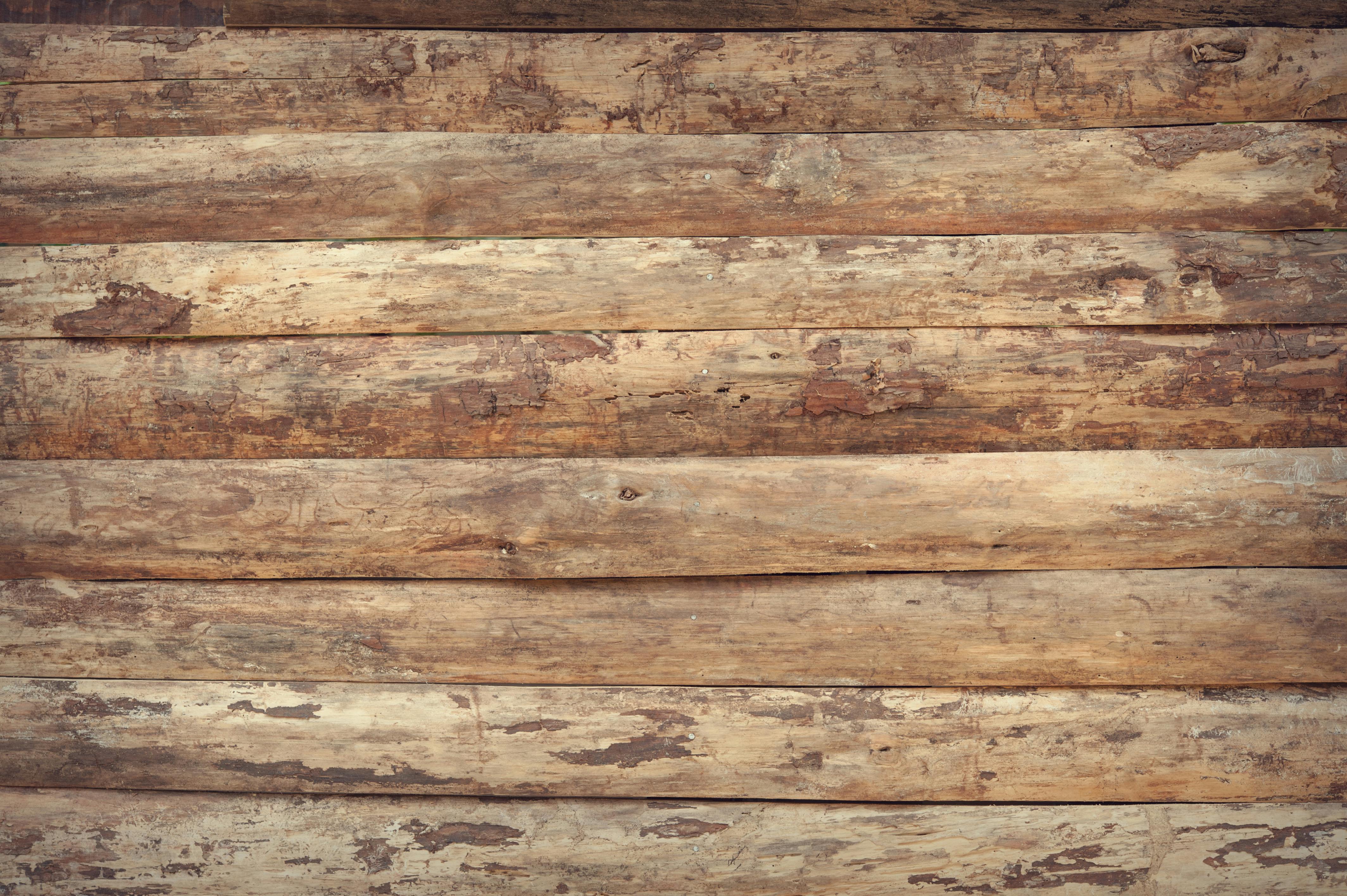 Wooden Wall Photos, Download The BEST Free Wooden Wall Stock Photos & HD  Images
