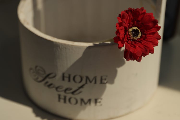 Red Gerbera Flower In Mug