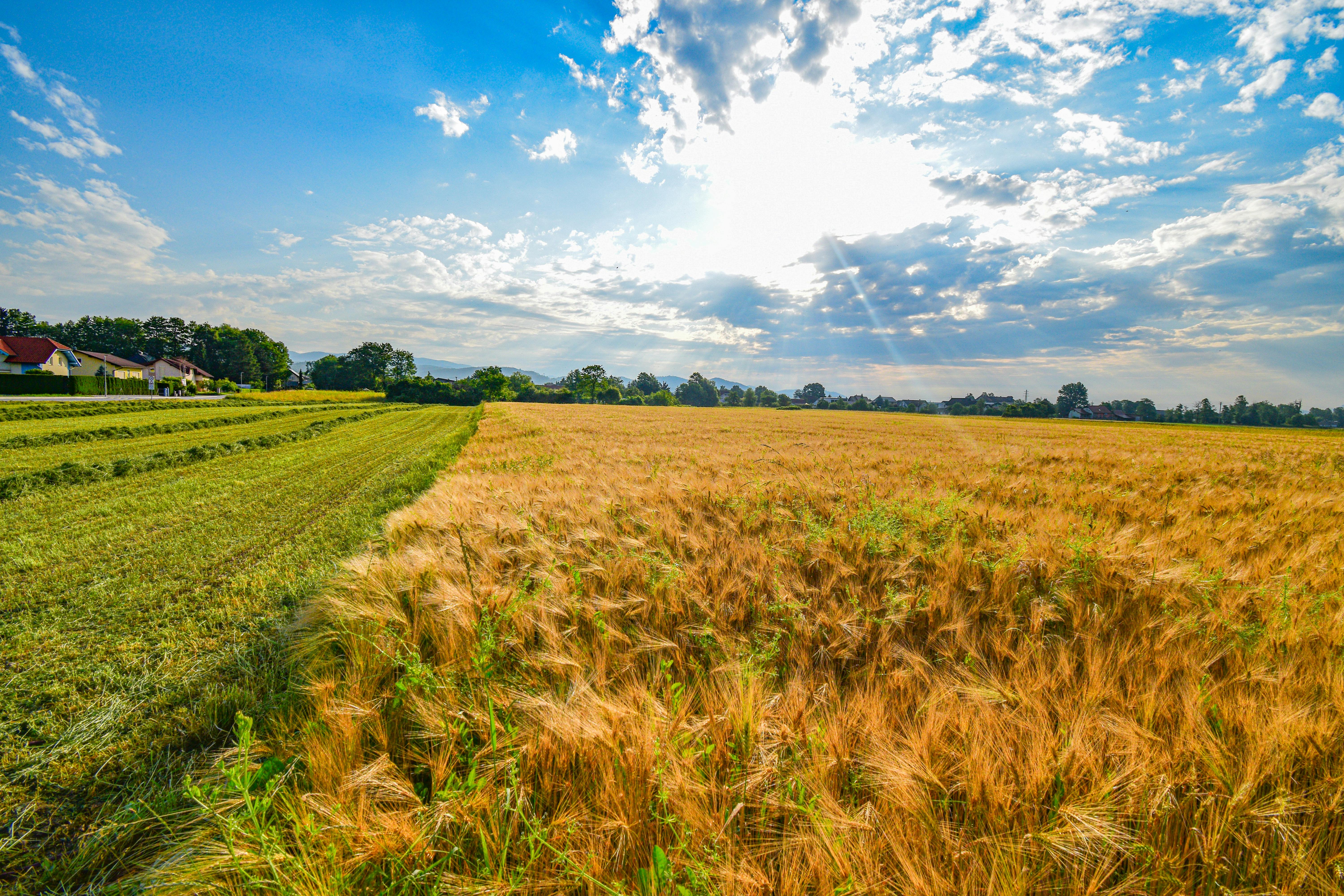 USDA Launches Lender Lens Dashboard to Promote Data Transparency — Photo by Nejc Parašuh on Pexels