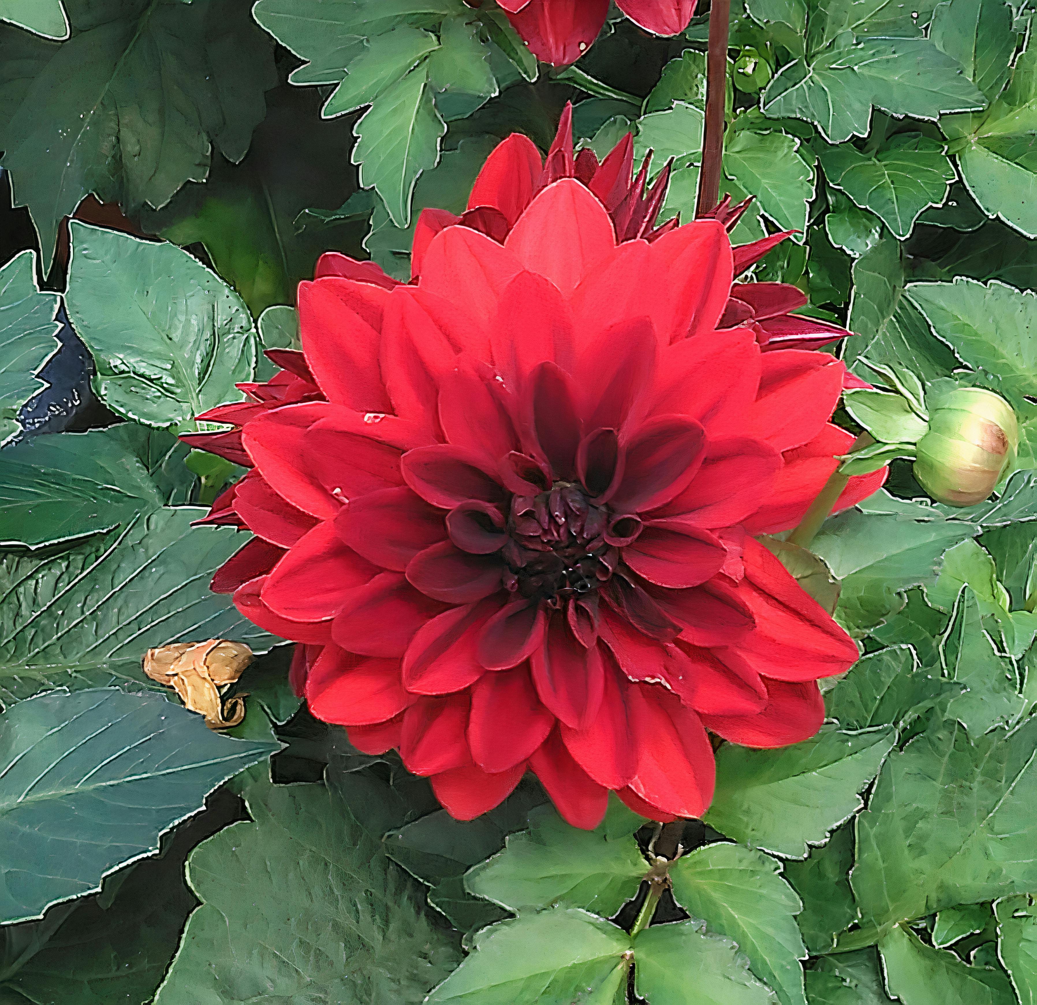 Children on stage acting