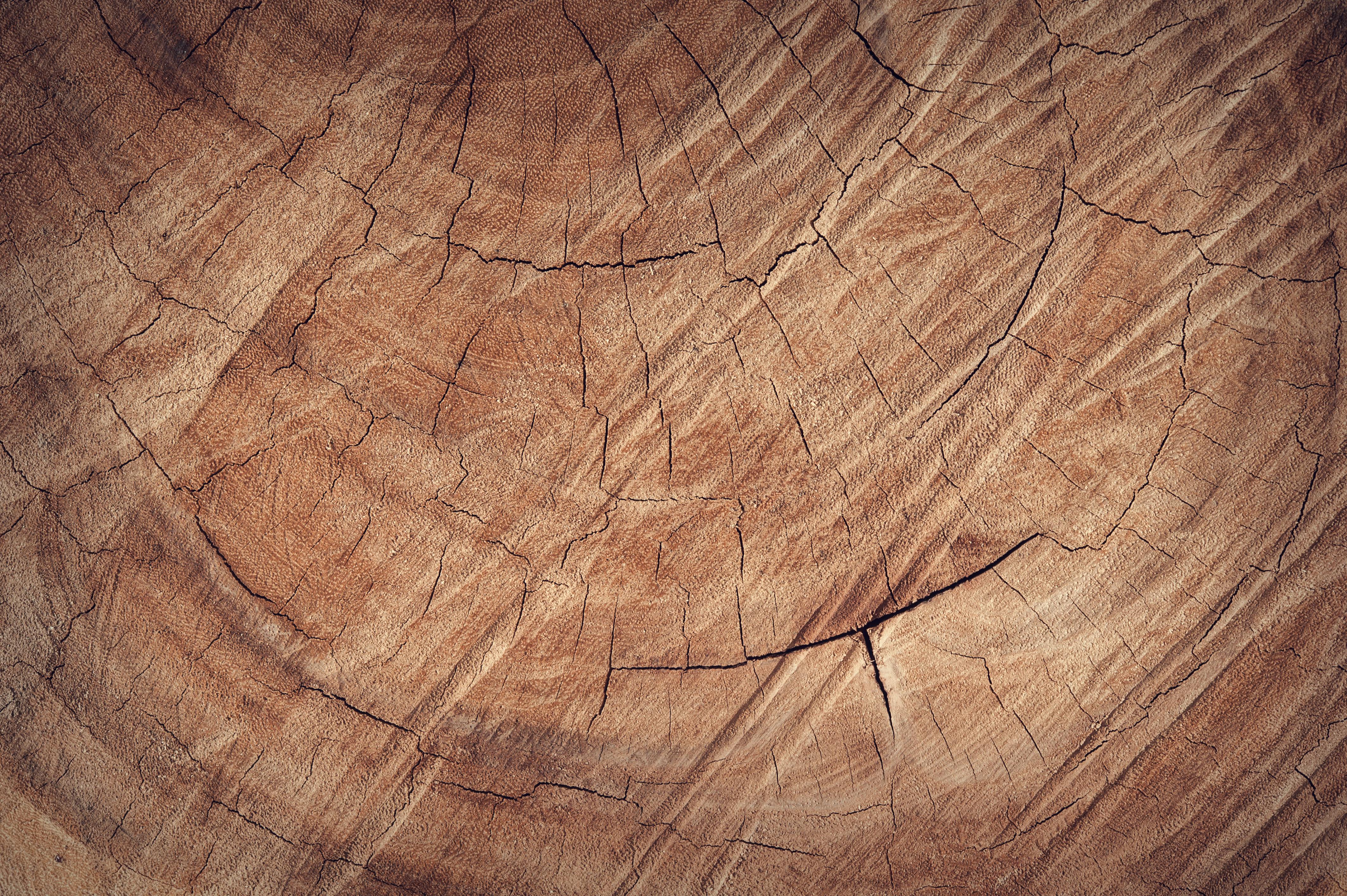 80,000+ Best Wood Photos · 100% Free Download · Pexels Stock Photos