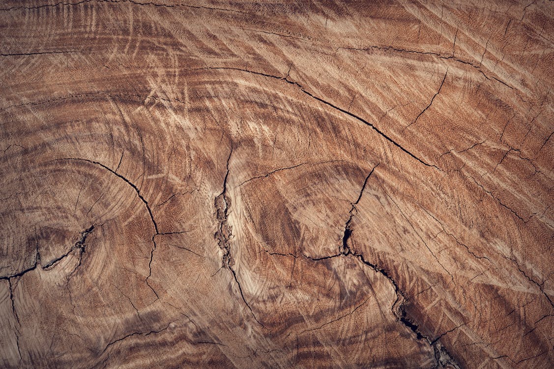 Free Brown Wood Surface Stock Photo