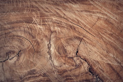 Bộ sưu tập 777 Texture background wood Tạo nên sự chuyên nghiệp cho thiết kế của bạn