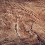 Mango wood grain