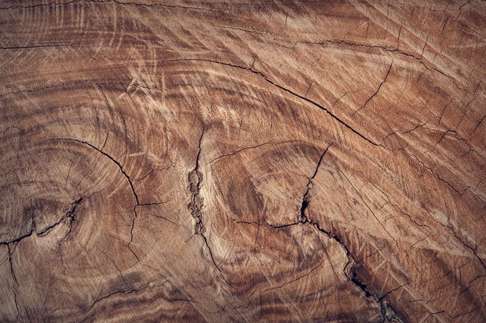 MR Grade Plywood Boards