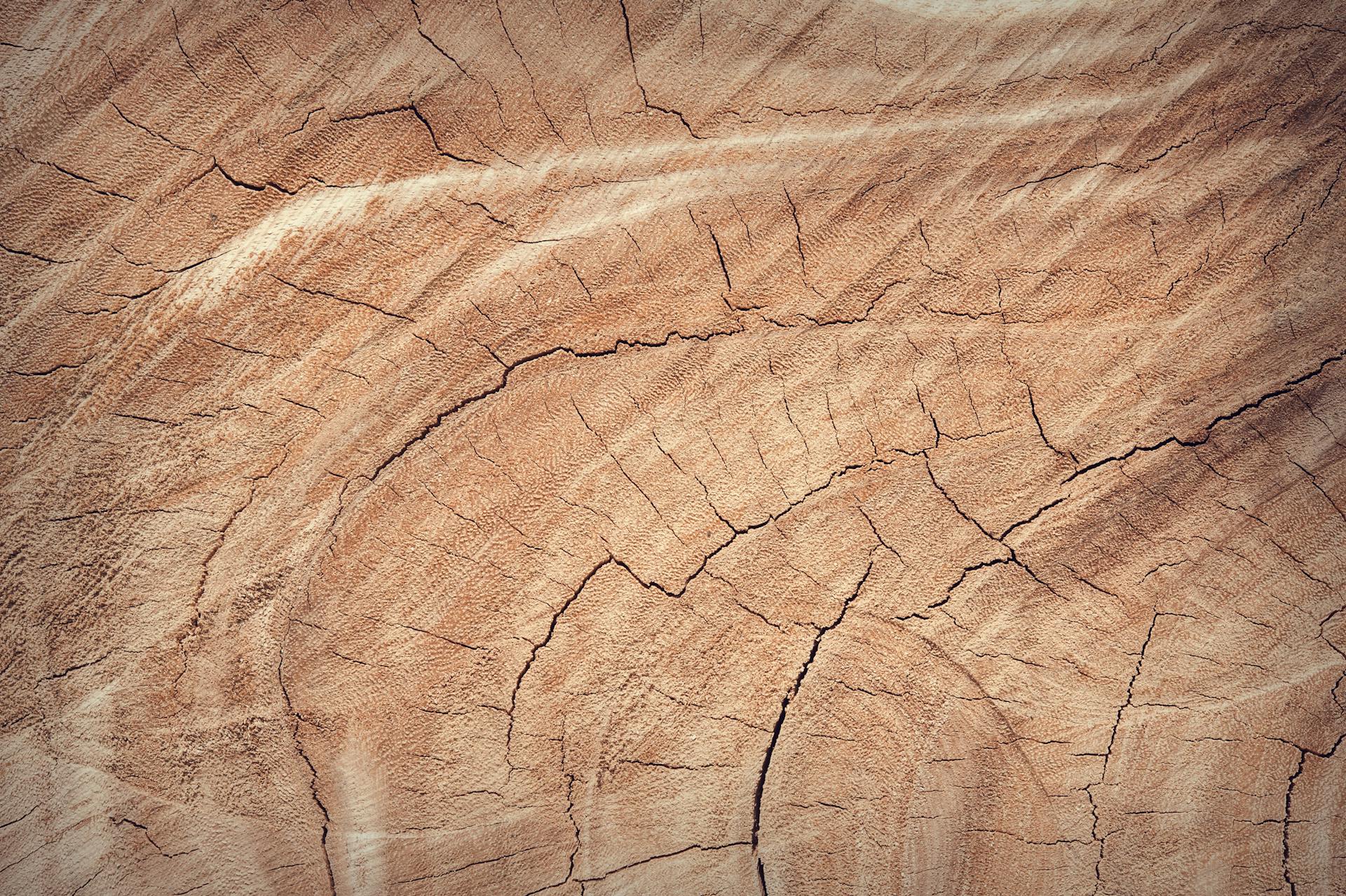 Detailed view of a cracked and textured brown wooden surface, perfect for backgrounds.