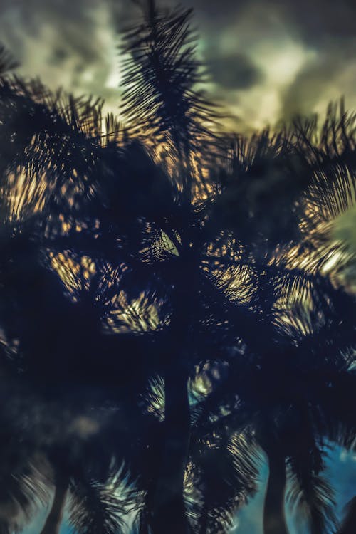 Free stock photo of abstract, blur, christmas