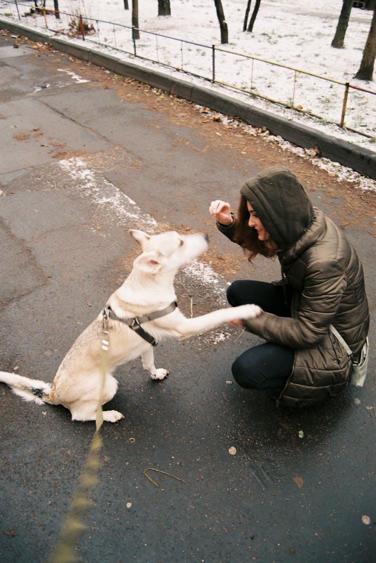 Woman Crouching On Ground Playing With Dog