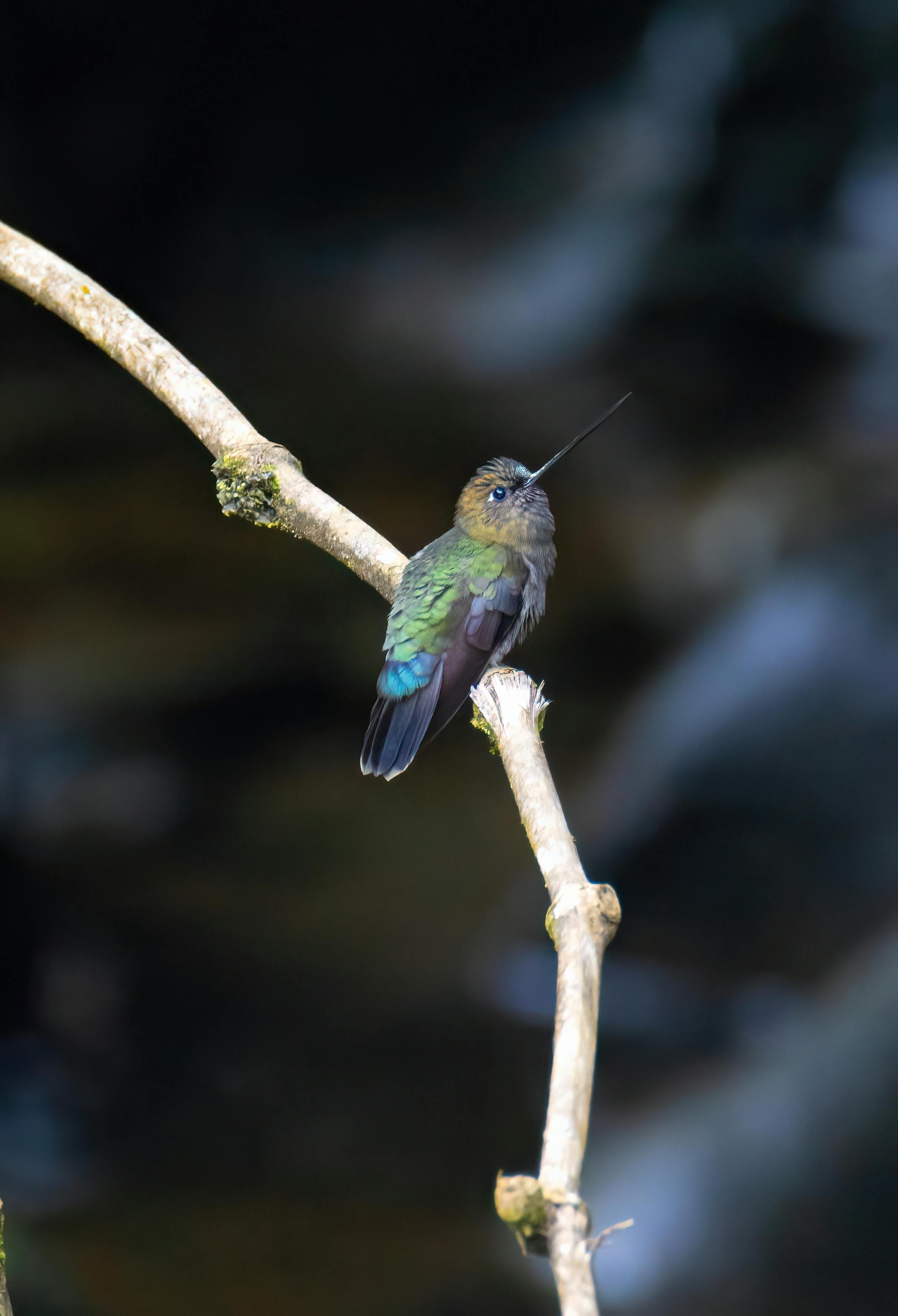 Ecuador: CSR cases supporting the bioeconomy and conservation across diverse territories