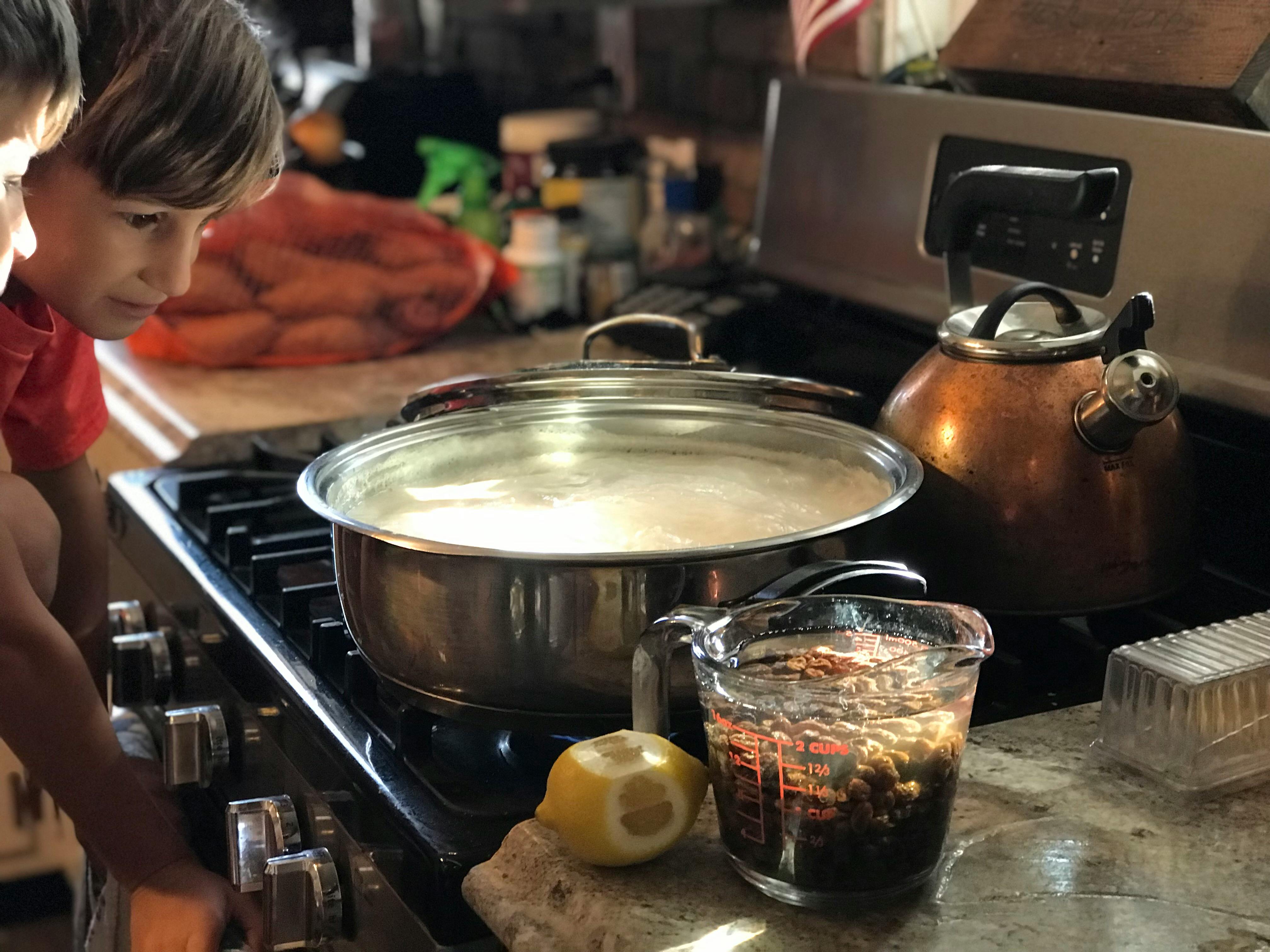 Home cooking: Michigan influencer releases new cookbook — Photo by Bb on Pexels