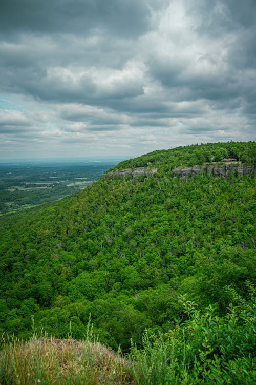 Landscape with a Green Hill, and Clouds in the Sky