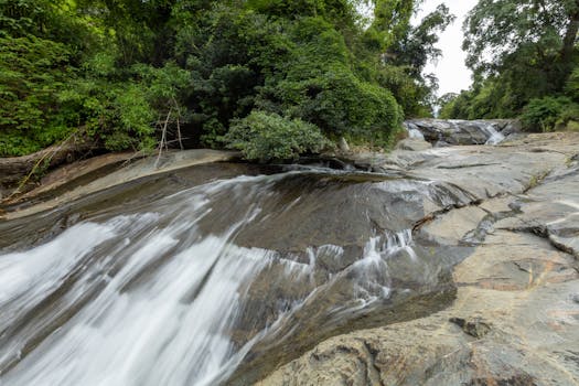 A tranquil tropical waterfall cascading over smooth rocks surrounded by lush greenery.