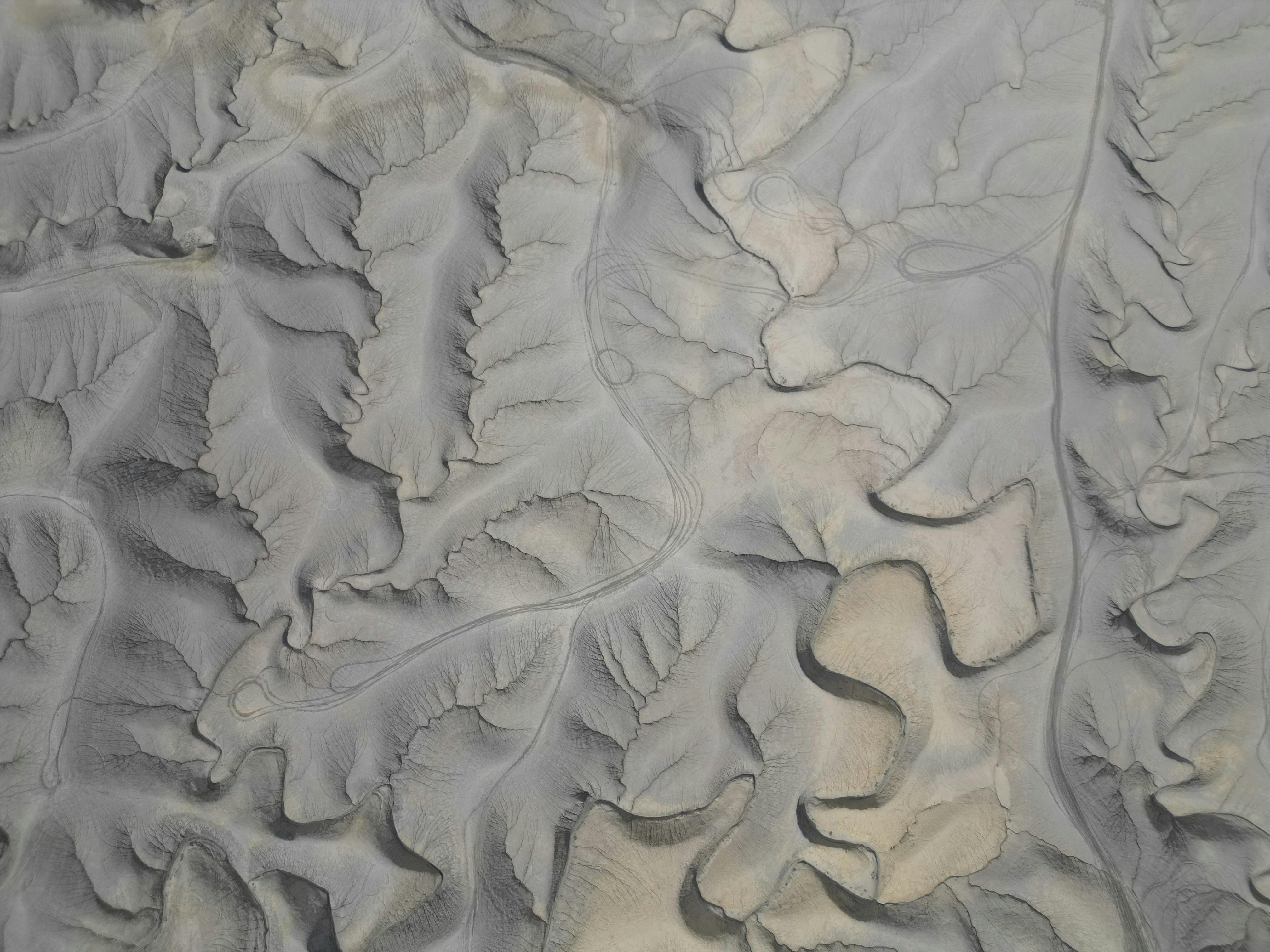 Eyebrows Design Photos, Download The BEST Free Eyebrows Design Stock