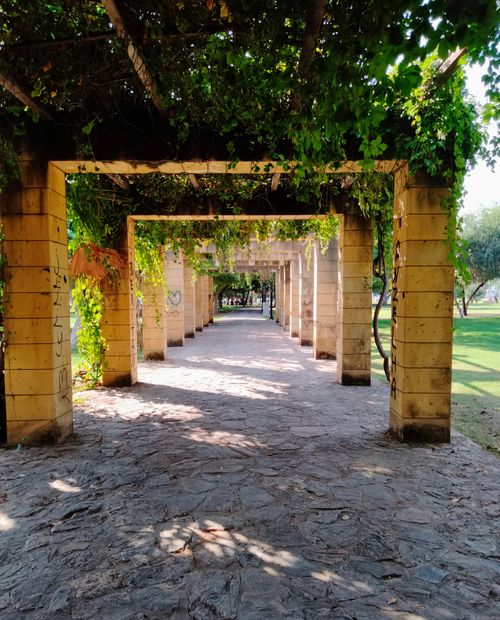 Free Sunlit park pathway with lush green trellis and stone walkway, evoking serenity and nature's beauty. Stock Photo
