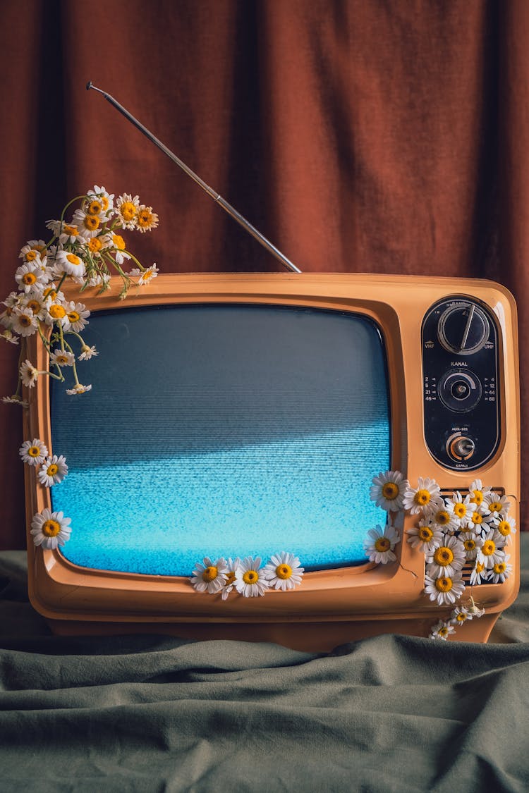 A Retro Television With Flowers