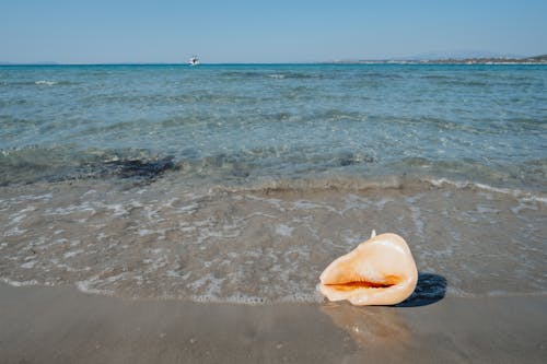 Gratis stockfoto met blikveld, strand, zand