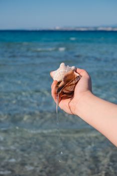 Close-up of a hand holding a seashell with ocean background.