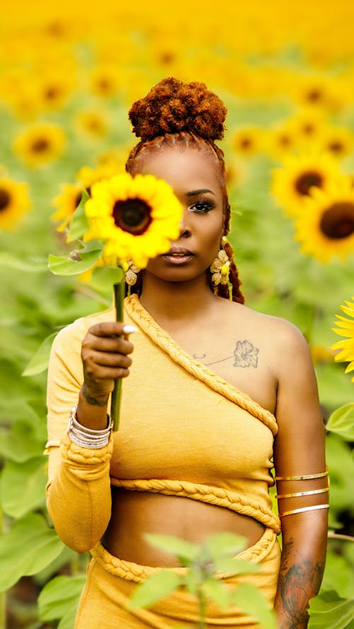 Základová fotografie zdarma na téma afričanka, hřiště, květiny