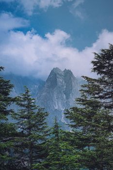 Discover serene mountain peaks amidst dense forest and cloudy skies.