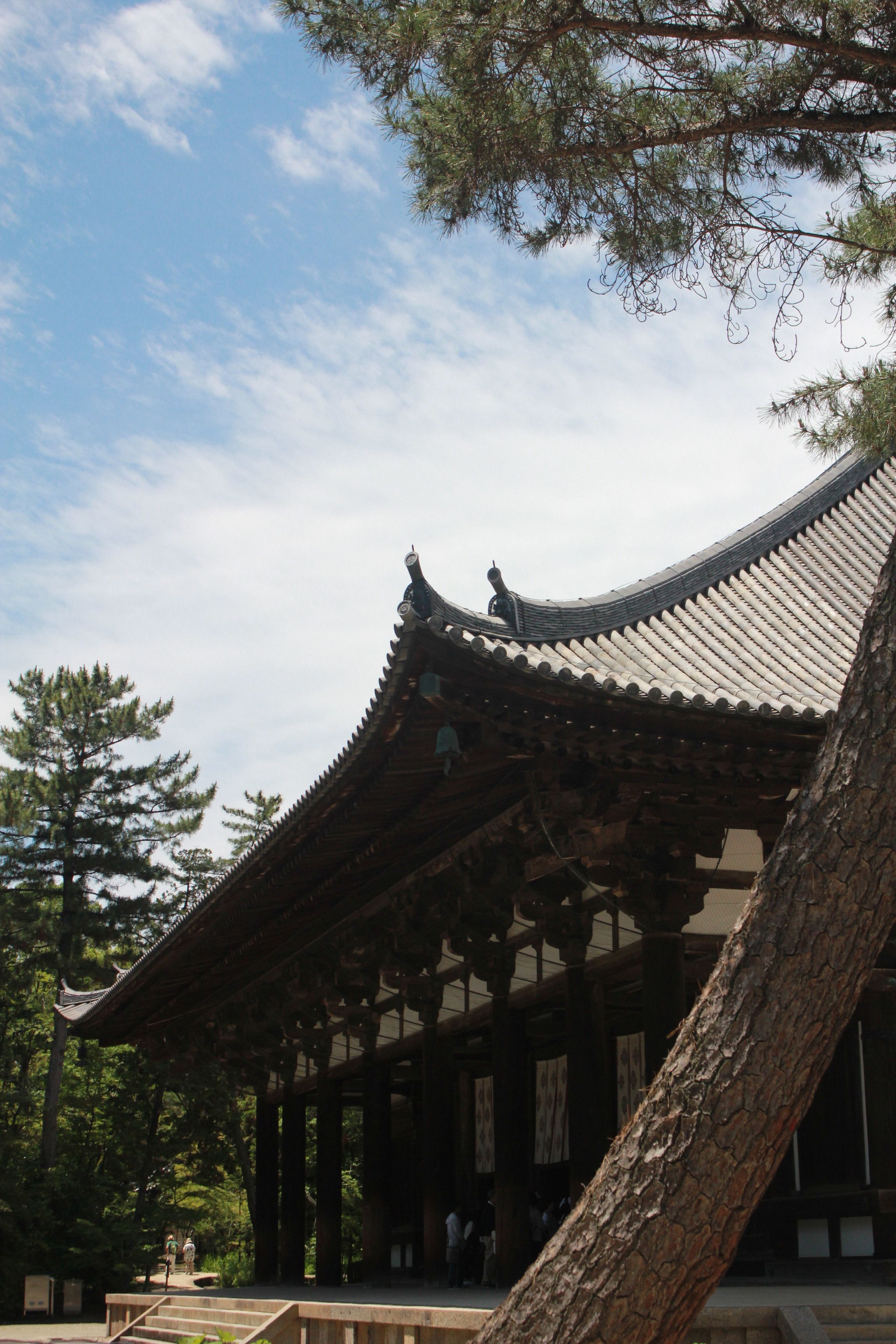 free-photo-of-pohled-na-chram-toshodai-j