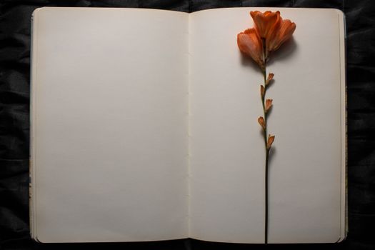 Top view of open book with orange freesia flower resting on top of empty blank pages on a black textured background. Empty space for text. Concept of nostalgia, sadness or remembrance