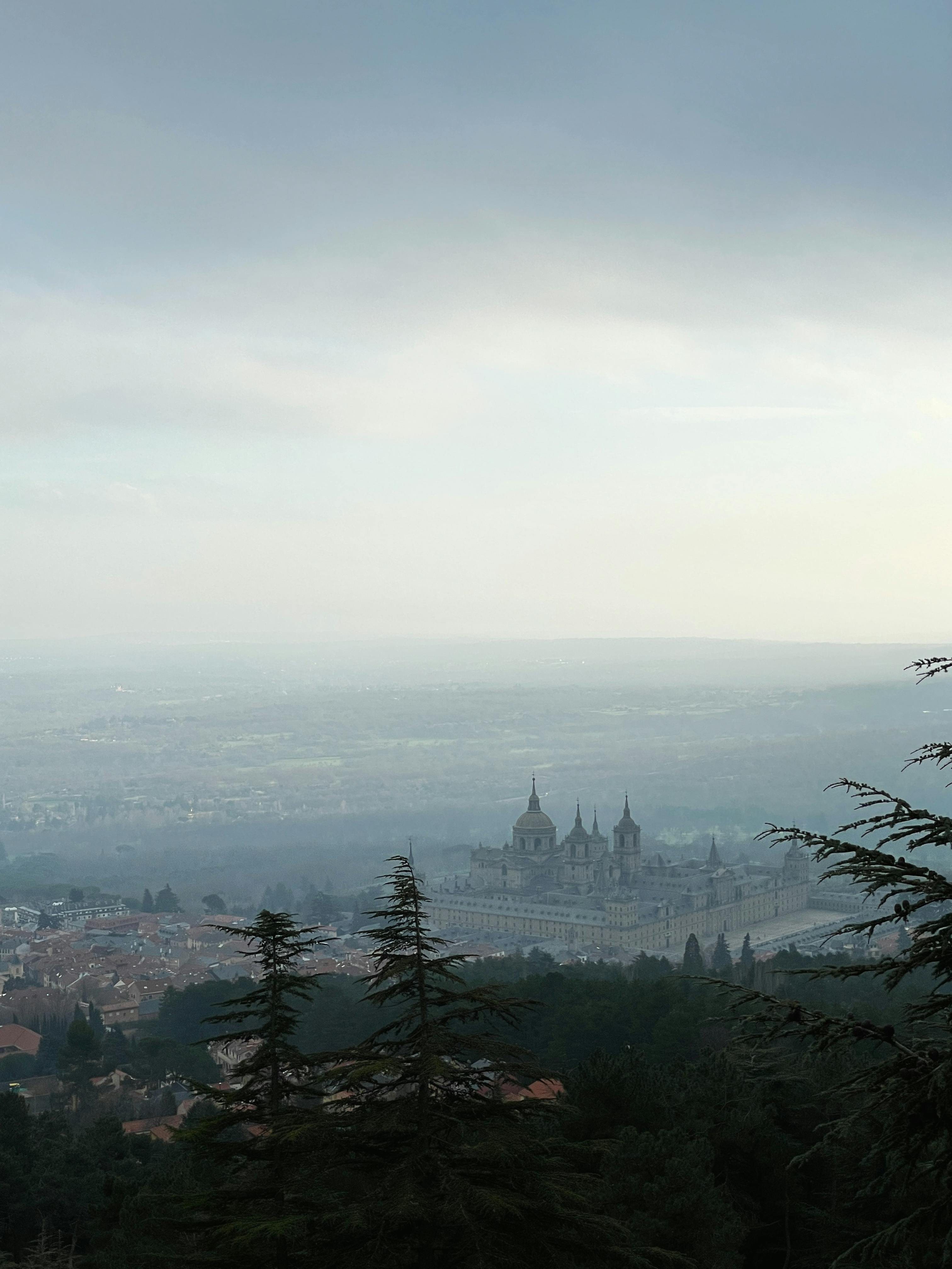 Camiseta real madrid adulto