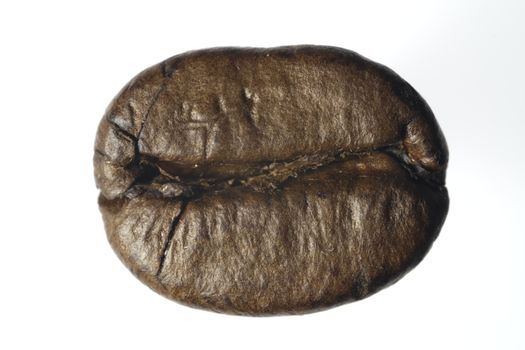 Coffee Bean
