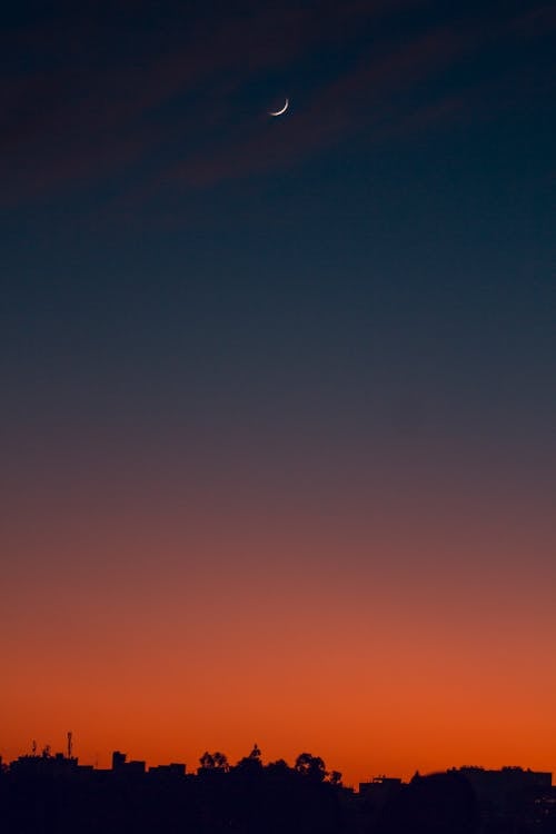 Silhouet Van Bomen Tijdens Zonsondergang