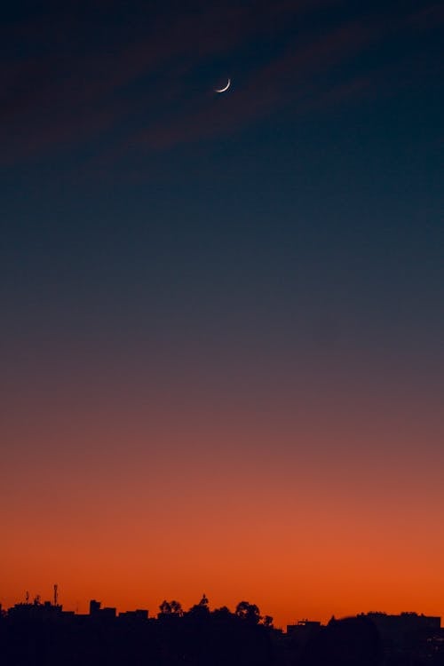 Silhouette D'arbres Au Coucher Du Soleil