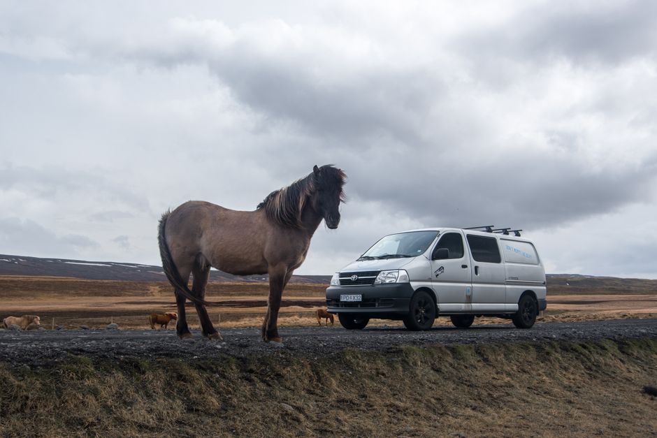 Icelandic horse and camper van captured in the serene rural landscapes of Iceland.