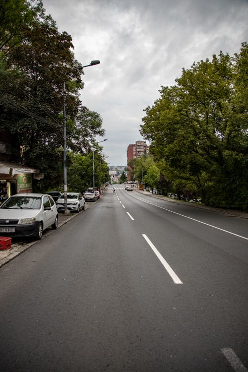 Free An empty city street flanked by trees and parked cars, showcasing urban tranquility. Stock Photo