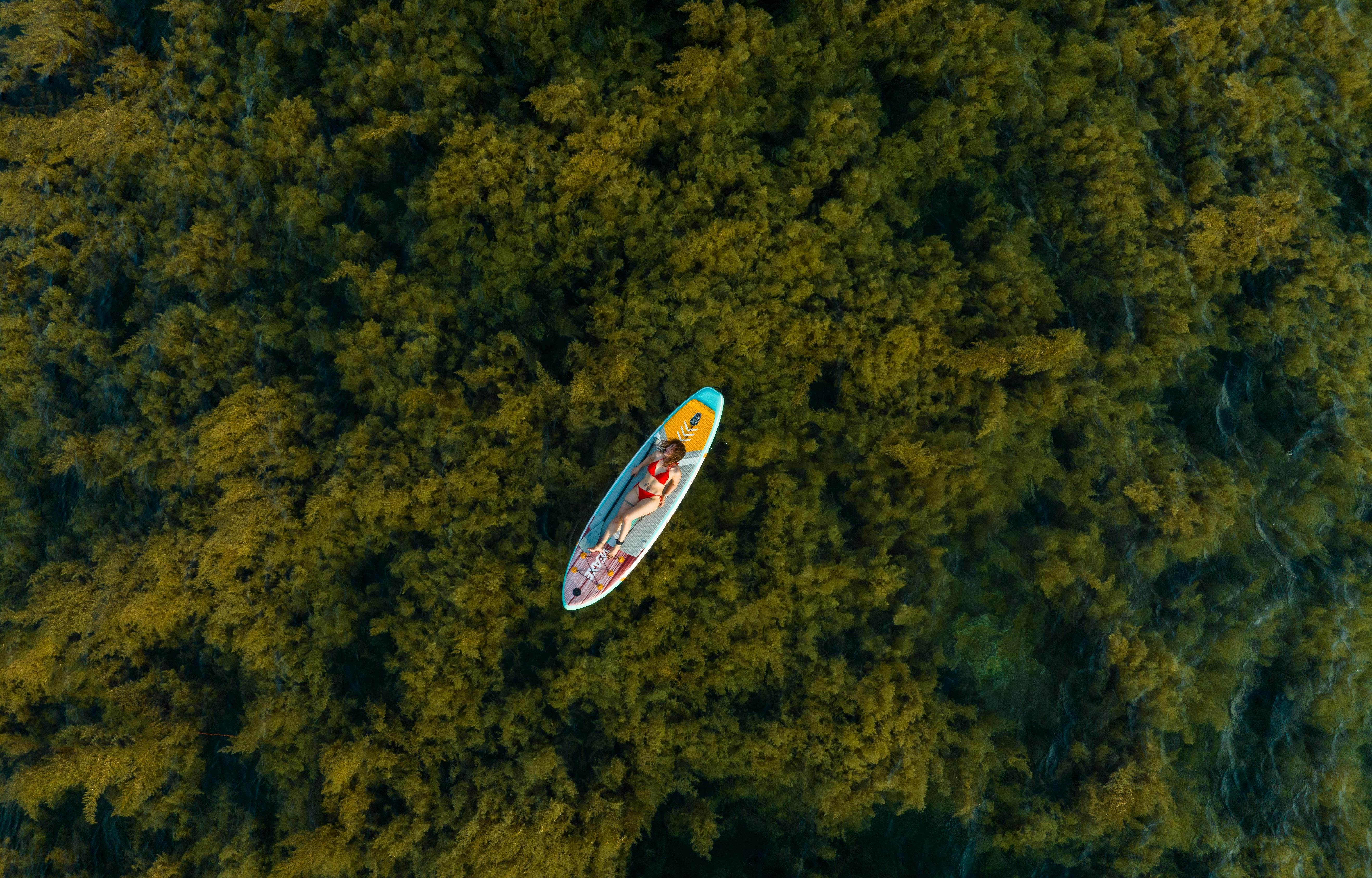 Top View of a Woman Lying in the Surfboard at Sea · Free Stock Photo