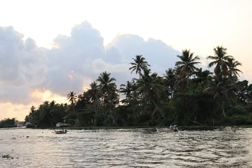 Immagine gratuita di acqua, alleppey, lago