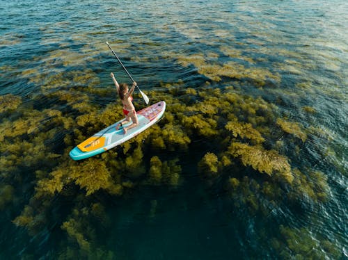 Fotobanka s bezplatnými fotkami na tému bikiny, letecké snímkovanie, leto