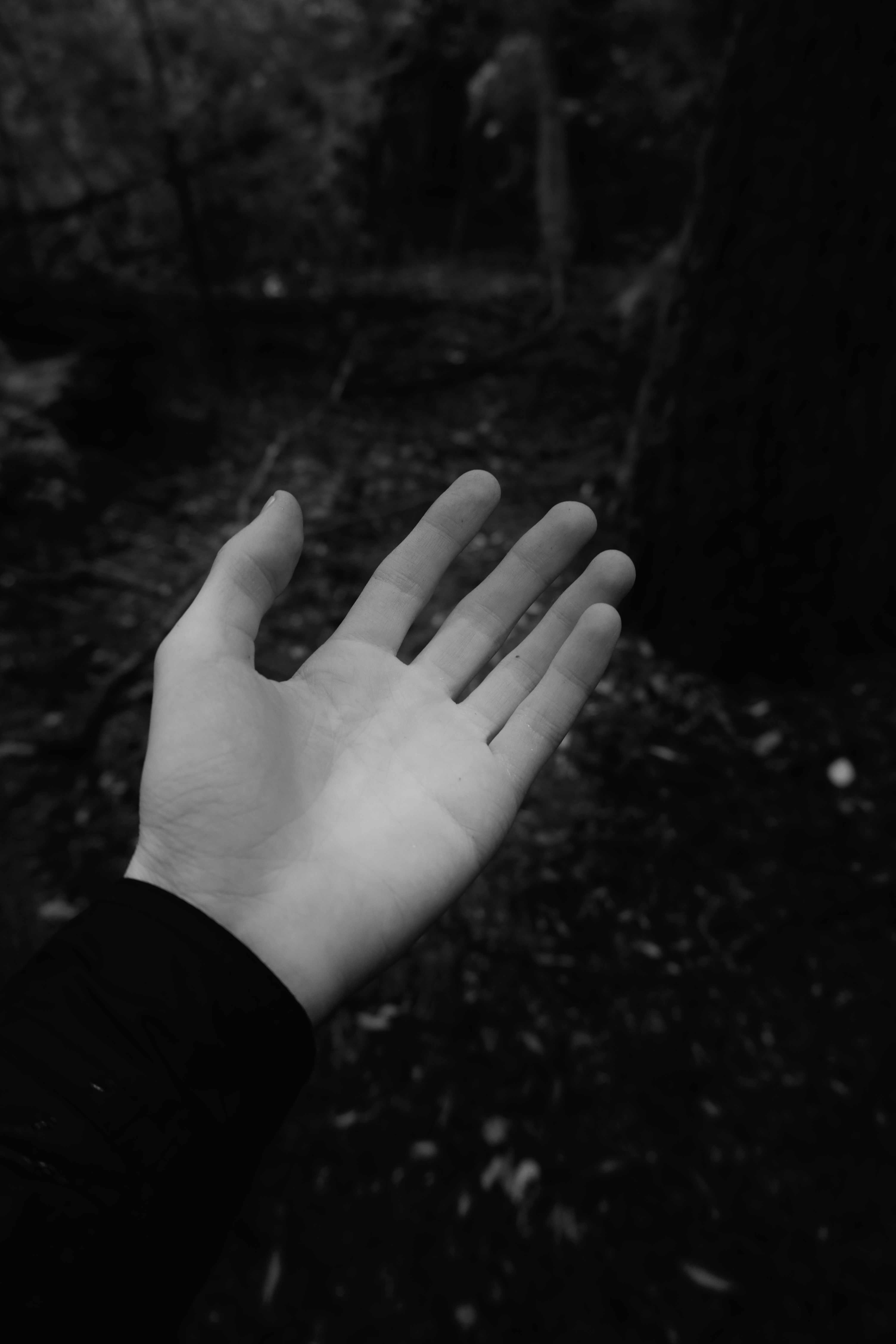 Palm of Hand in Black and White · Free Stock Photo