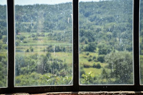 Raindrops on Windows with Trees behind