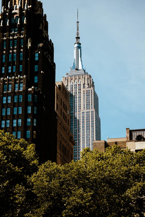 Fotobanka s bezplatnými fotkami na tému budovy, cestovať, Empire State Building